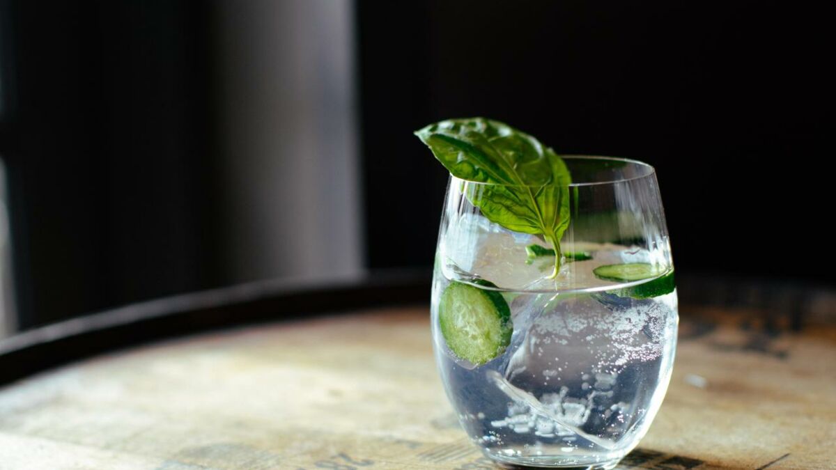 Soda maison, eau pétillante, cocktails : comment choisir sa