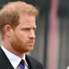 Prince Harry avoue : “Je ne reconnais ni William ni mon père”