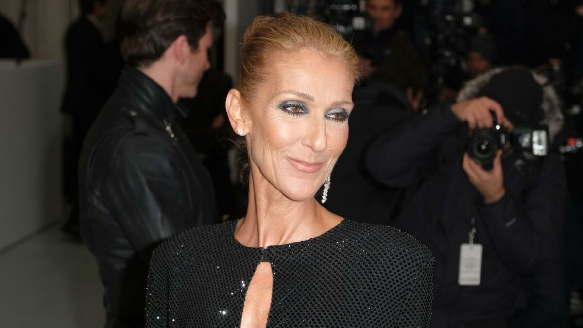 Céline Dion pose sexy en body sur scène