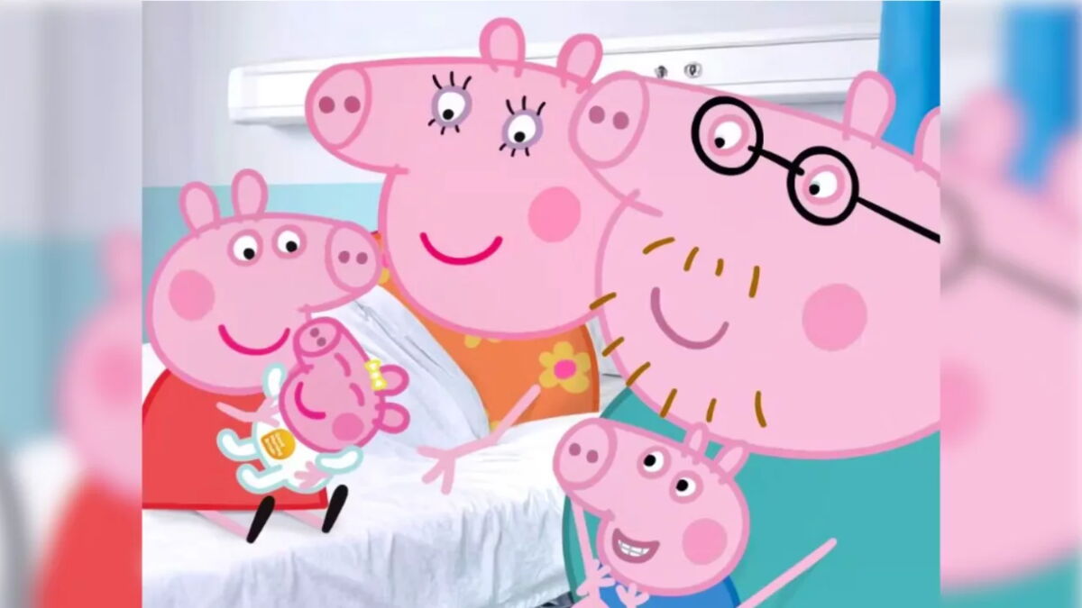 Haut Fille Peppa Pig Taille 5-6 Ans - Occasion Avec Quelques Taches