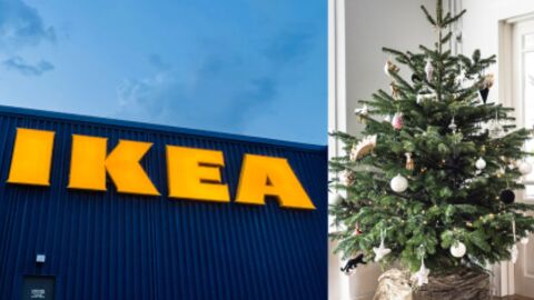 Ikea vous rembourse votre sapin de Noël à 100% grâce à cette offre