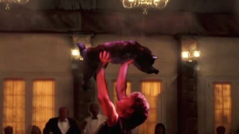 Titanic, Dirty Dancing, Friends... Il parodie les films avec son chat et c'est hilarant