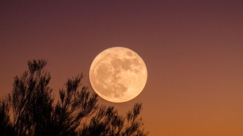 Astrologie : le top 3 des signes qui vont le moins bien vivre la pleine Lune de ce 24 juin
