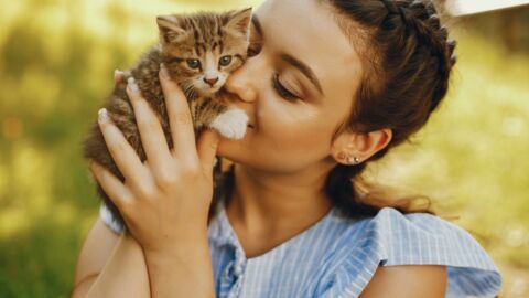 Astrologie Quelle Race De Chat Choisir Selon Votre Signe
