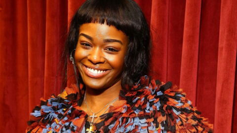 Un Ours A La Peur De Sa Vie Face A Un Petit Chat