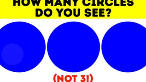 Illusion d'optique : combien de cercles voyez-vous sur cette image ? 