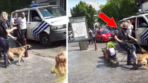 La vidéo d'un policier en train de frapper son chien provoque la colère des internautes