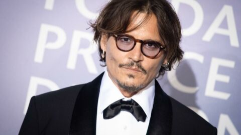 "Les Animaux Fantastiques" : Johnny Depp se retire de la saga à la demande de Warner Bros