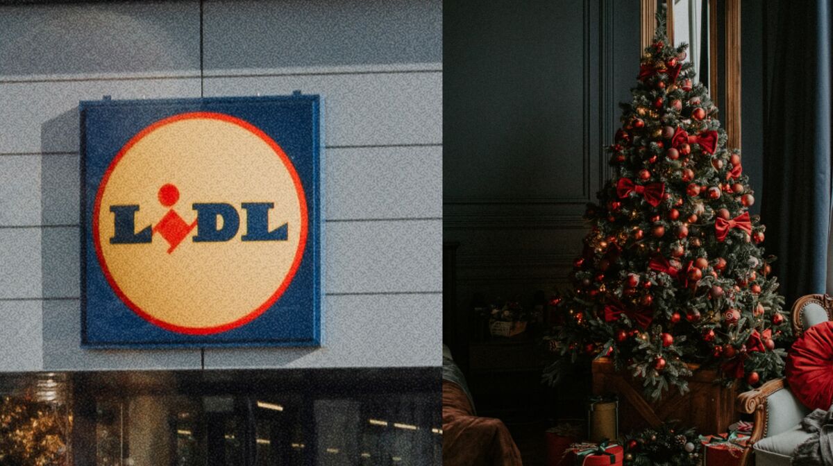 Lidl Casse Les Prix Avec Ses Vrais Sapins De No L Nordmann Vendus Pour Moins De Euros