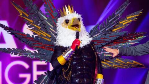 Mask Singer : L'aigle chute en pleine prestation, c'est le choc !