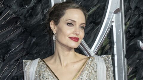 Angelina Jolie pose nue sous un voile transparent et délivre un message d'acceptation