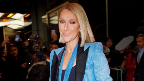 Céline Dion adopte un look complètement déjanté, ses fans la hisse au rang d'icône mode