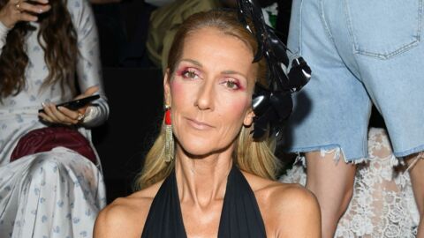 Céline Dion : son nouveau look surprend les internautes