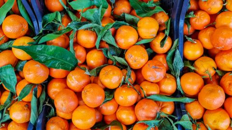 Quelle est la différence entre une mandarine et une clémentine ?