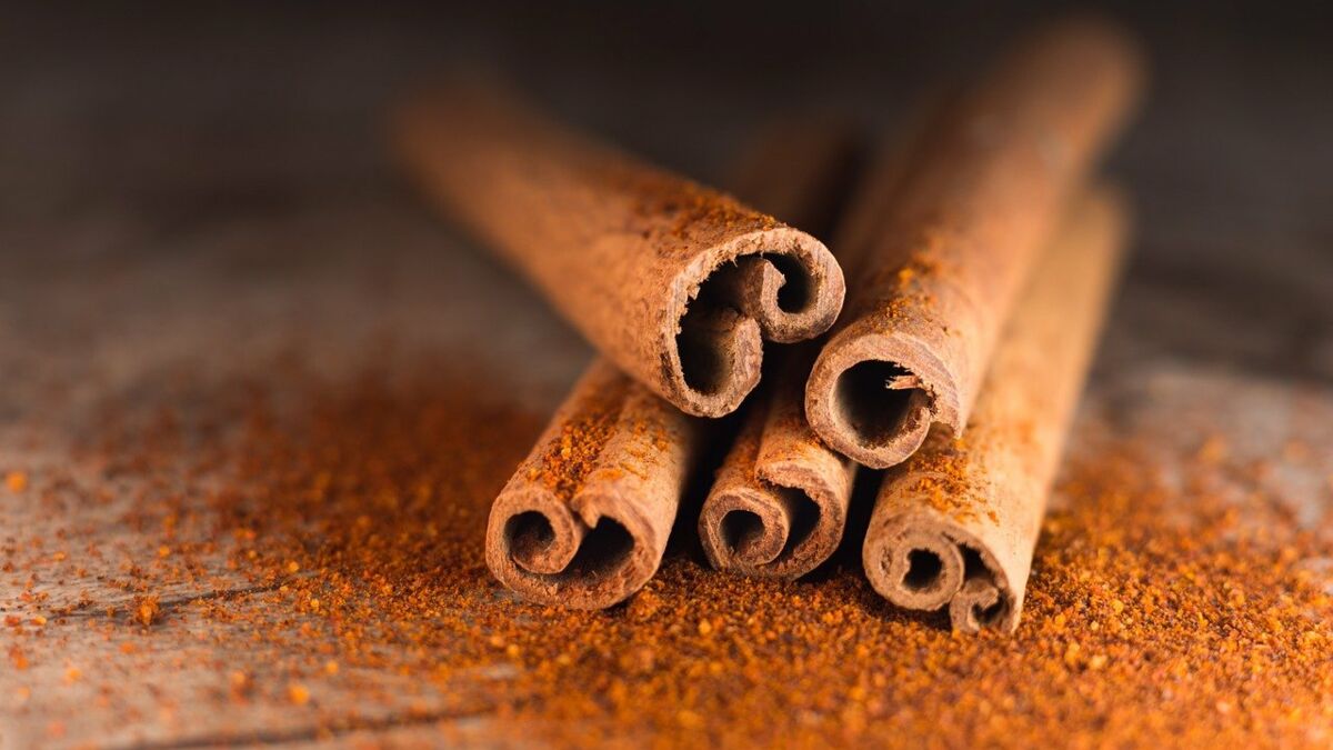 Quels sont les bienfaits de la cannelle