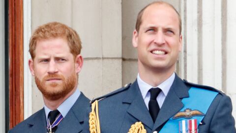 Hommage à Diana : Harry et William "ont insisté" pour préparer deux discours distincts pour la cérémonie