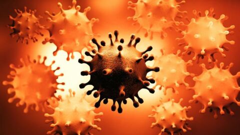 Coronavirus : le virus actuel encore plus transmissible ?