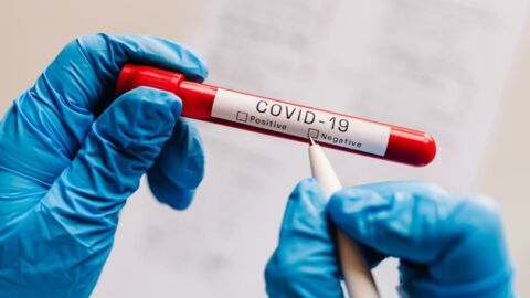 Covid-19 : quel groupe sanguin est le plus résistant face au virus ?