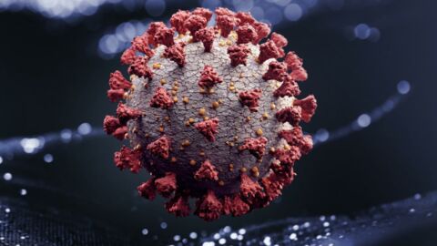 Covid-19 : après les variants, les virus "recombinants" débarquent