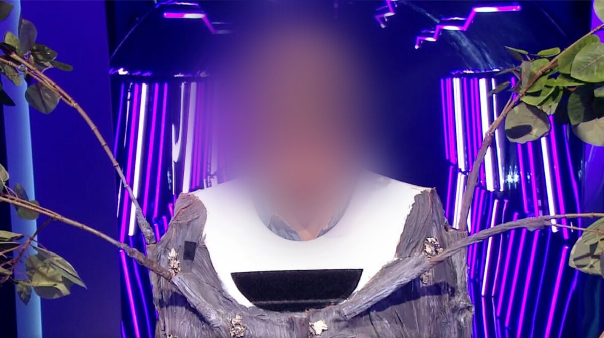 Qui Est L arbre Dans Mask Singer L'arbre ENFIN démasqué dans Mask Singer, les internautes émus en découvrant  la star | Flipboard
