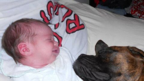 Hunde kuscheln mit Babies