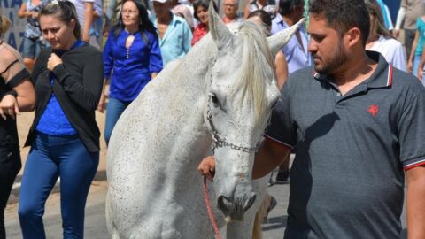 In Brasilien nimmt ein Pferd Abschied von seinem verstorbenen Besitzer bei dessen Beerdigung