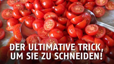 Tipp: Wie du Kirschtomaten schnell schneidest