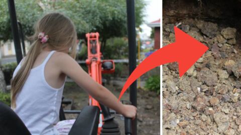 Eine Familie macht bei Gartenarbeiten eine unglaubliche Entdeckung