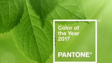 Die Farbe des Jahres 2017 verspricht viel Frische und Leichtigkeit!