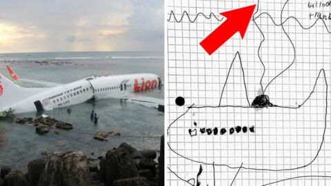 Wenn ein 8 Jahre altes Kind ein unfehlbares System erfindet, um im Ozean verschollene Flugzeuge zu orten