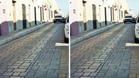 Optische Täuschung: Dieses Foto macht die Runde im Netz