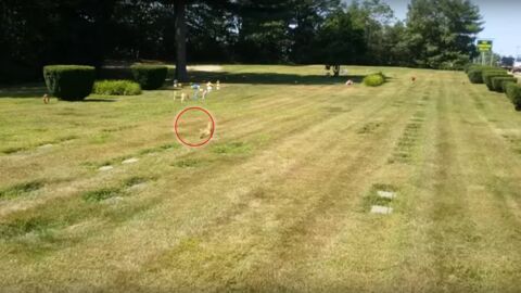 Ein Radfahrer sieht den Geist eines Hundes auf einem Tierfriedhof! Erstaunlich, was passiert, als er sich nähert!
