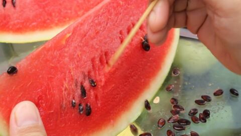 Warum du Wassermelonenkerne auf keinen Fall wegwerfen solltest