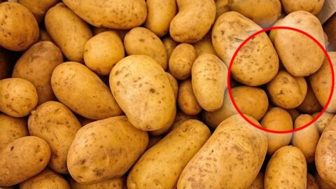 Eine Frau findet eine Granate im Kartoffelsack