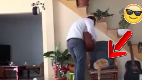 Er schmeißt die Katze fies vom Stuhl. Doch ihre Rache folgt prompt! Einfach genial!