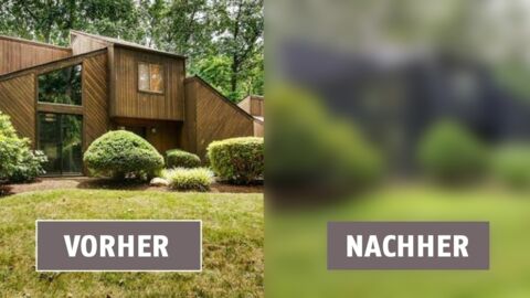 Eine amerikanische Designerin baut ihr Haus um und setzt dabei auf Farben und viel Holz
