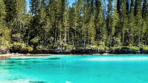 Die schönsten Naturpools für Badefreuden in paradiesischer Umgebung