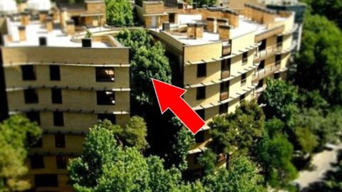 Wenn du umweltfreundlich bist, musst du dieses Haus unbedingt entdecken. Es ist einfach genial!