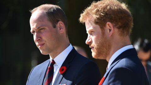 Harry und William bedauern ihre letzten Worte an Diana!