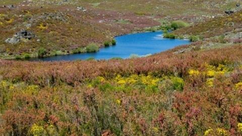 Der Naturpark von Montesinho in Portugal: eine der unberührtesten Landschaften Europas