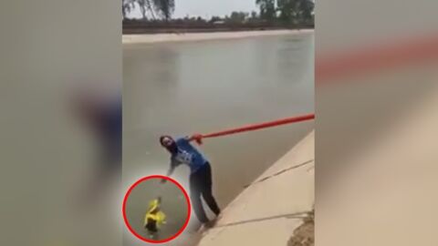 Dieser arme Hund war gerade am Ertrinken ... Aber ein Mann ist mit einer Heldentat zur Stelle!