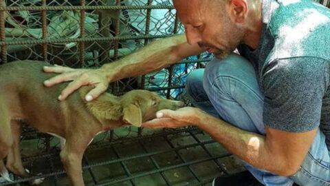 Tierschützer kann nicht fassen, wie sich der Welpe bei ihm für die Rettung bedankt