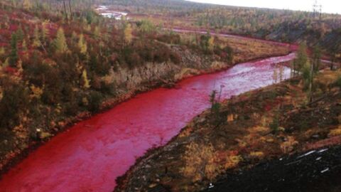 Daldykan Fluss: Das Wasser dieses russischen Flusses wurde gerade blutrot