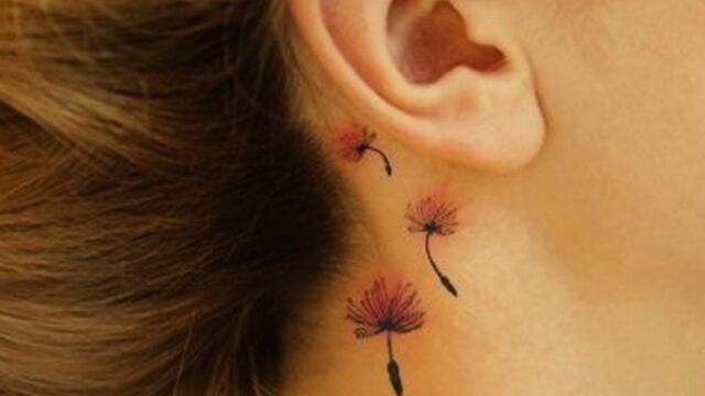 Schmetterling ohr tattoo hinterm Tattoo hinter
