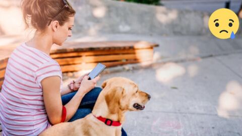 Ich hab es jeden Tag unbewusst so gemacht und nicht gewusst, wie gefährlich das für meinen Hund ist