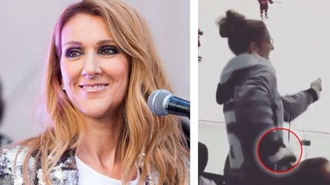Aus diesem Grund flippt Celine Dion in einem Eishockey-Stadion völlig aus!