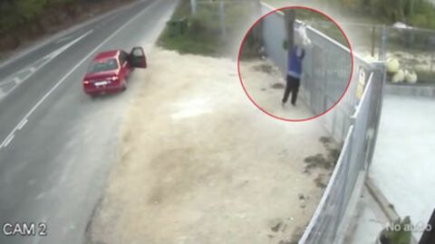 Video eines ausgesetzten Hundes empört User!