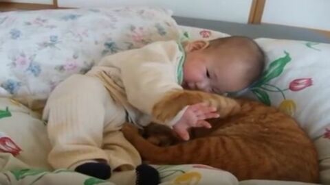 Katze und Kind: Sie zeigen sich ihre Zuneigung auf ganz besondere Weise