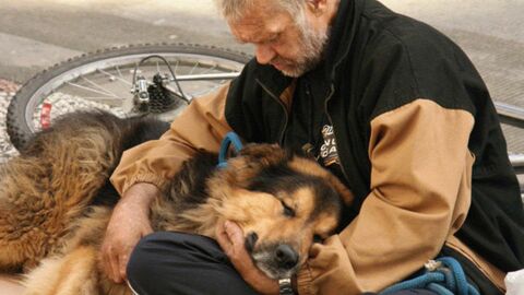 15 Fotos, die beweisen, dass Sie für Ihren Hund immer etwas ganz Besonderes sind!