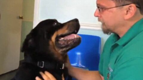 Dieser Mann findet seinen Hund wieder, der vor acht Jahren entführt worden war.